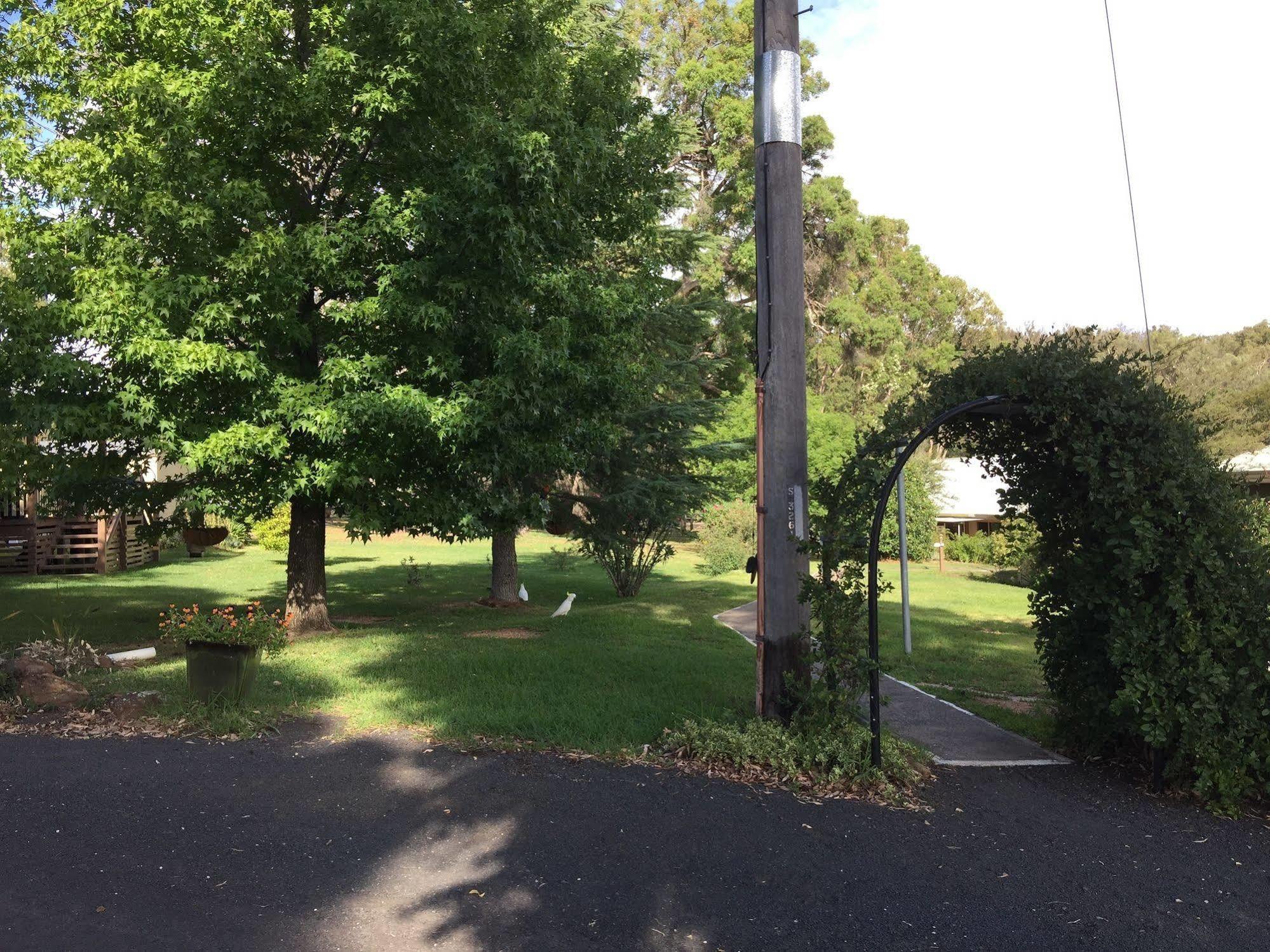 Warrumbungles Mountain Motel Coonabarabran Εξωτερικό φωτογραφία